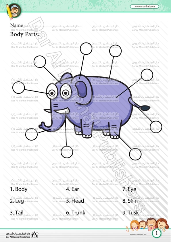 أجزاء الجسم فيل العلوم اوراق عمل