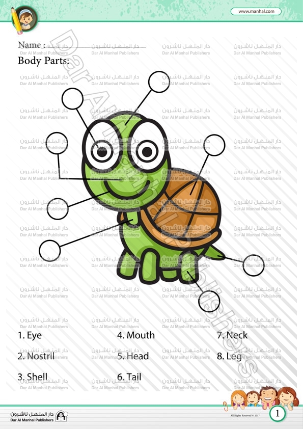 Parts Of A Turtle Worksheet