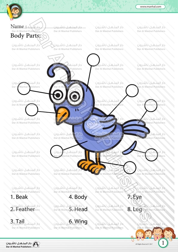 85 WORKSHEET DRAW A BIRD AND LABEL ITS PARTS PRINTABLE WITH VIDEO
