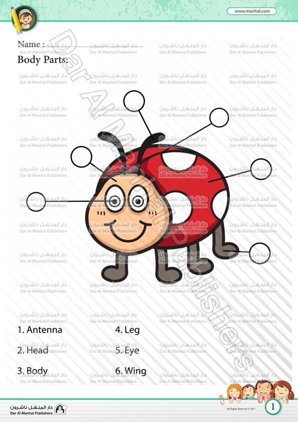 Body Parts - Ladybug | Science WorkSheets