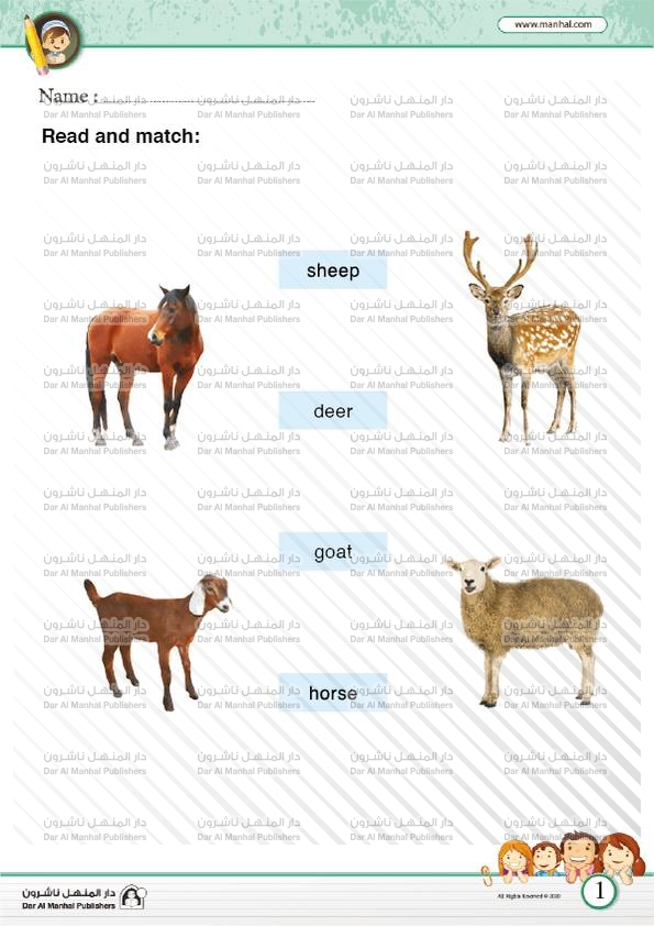 Vocabulary- Animals | English WorkSheets