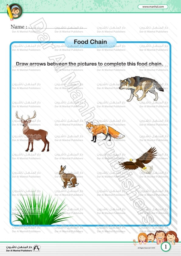 Food Chain | Science WorkSheets
