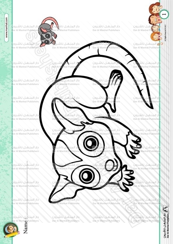Color The Bushbaby Coloring Worksheets