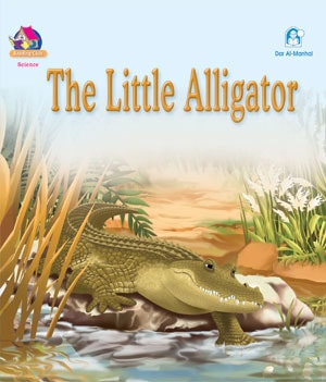 The Little Alligator